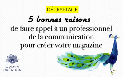 5 bonnes raisons de faire appel à un professionnel de la communication pour créer votre magazine